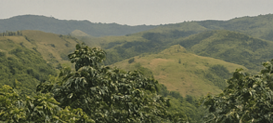 Café de especialidad colombiano: Del farallón a tu taza con Altitud Café