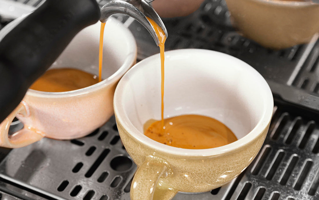 Cómo preparar un café perfecto en casa: métodos y secretos de Altitud Café