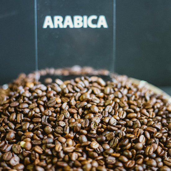 Café de altura colombiano: los secretos detrás de los granos de los Farallones del Citará